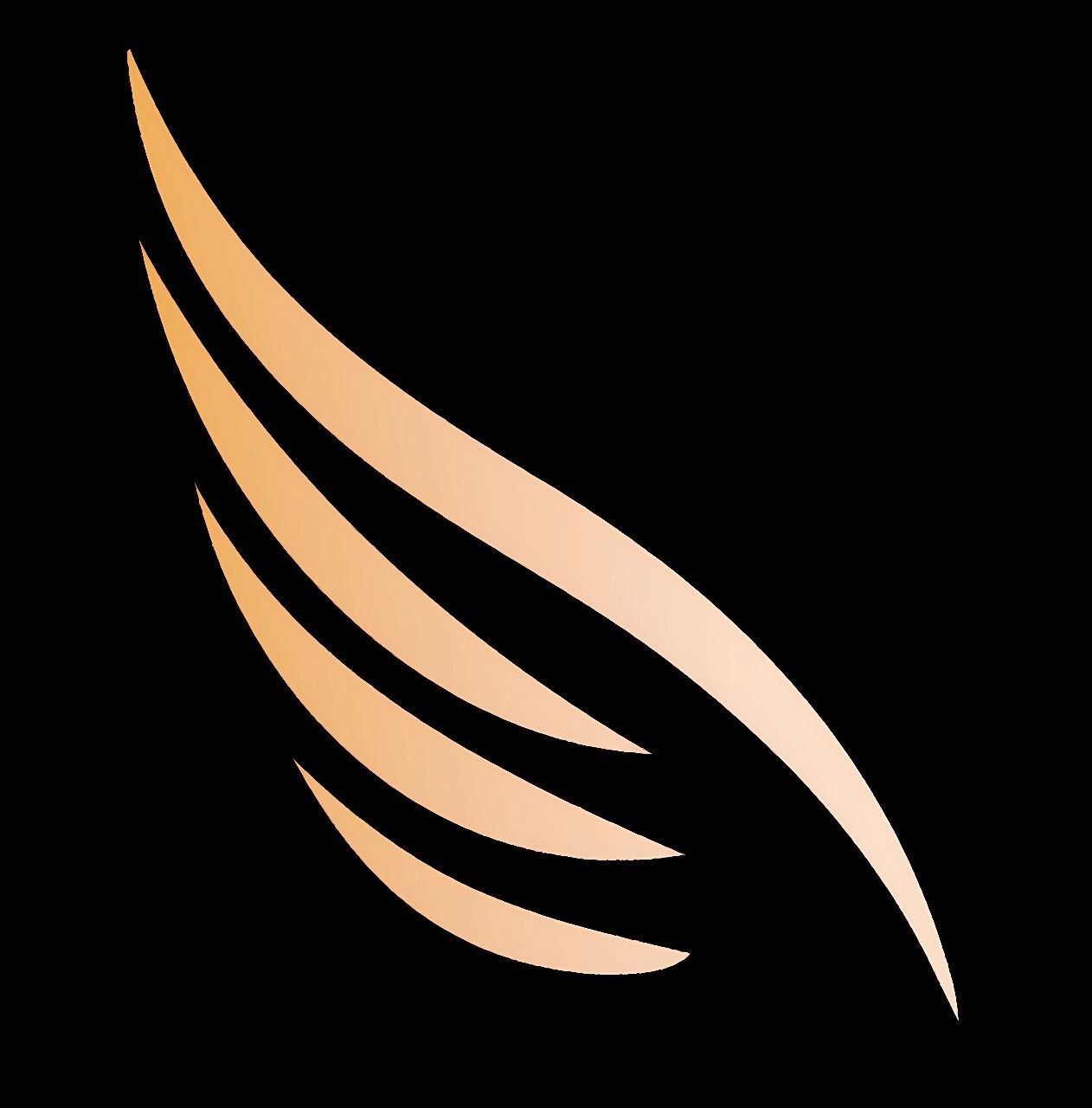 Solar Wings